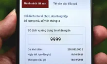 Đấu giá quyền sử dụng mã, số viễn thông, khởi điểm 250 triệu đồng